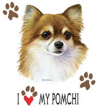 Custom Order 😍 Pomchi Lover Ring + FREE Bracelet